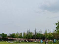 -府河摄影公园