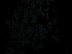 -怀托摩萤火虫洞