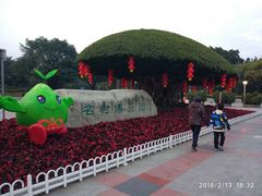 -南宁南湖公园