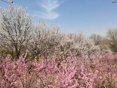 -青龙湖公园