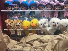 -汤姆熊欢乐世界(罗斯福店)