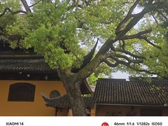 -西园戒幢律寺