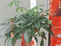-雅享养生·中医调理·筋骨艾灸(广兰路店)