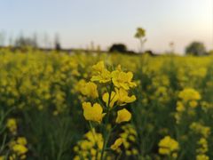 -临平南高铁站(地铁站)