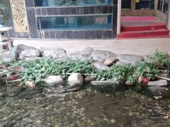 -顺峰·粤菜海鲜·早茶自助(阜成店)
