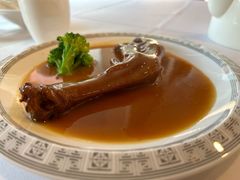 -一品粤珍轩(吴中路店)