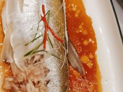 -全聚德(上海首店浦东店)