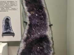-天津自然博物馆