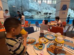 -帝企鹅自助餐厅•儿童岛•真企鹅(长隆企鹅酒店)