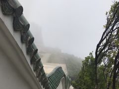 -梧桐山风景名胜区