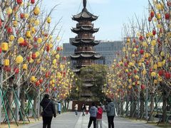 -龙华素斋(龙华路店)