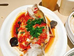 -香港池仔记肠粉王(博多新记襄阳南路店)