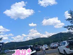 -五营国家森林公园