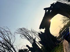 -广富林郊野公园