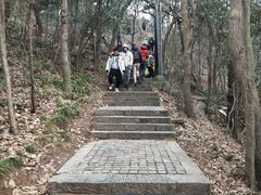-紫金山山顶公园
