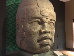 -美国自然历史博物馆