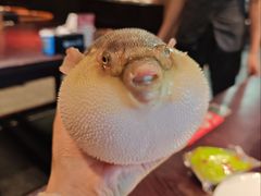 -永安鱼庄·镇江菜(东吴路店)