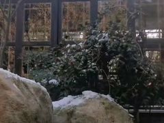-观唐（国际）度假村温泉