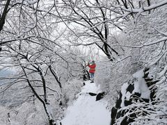 -香山公园