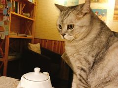 -隅cafe(傅厚岗店)