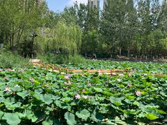 -南翠屏公园