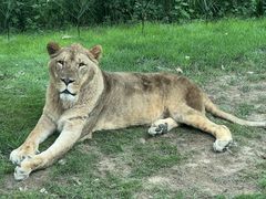 -北京野生动物园