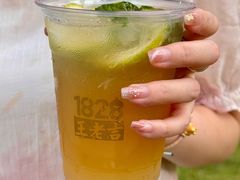 -1828王老吉·草本新茶(珠江新城地铁站店)