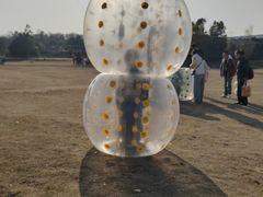 -武汉紫薇都市田园