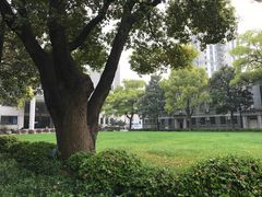 -上海市第八中学