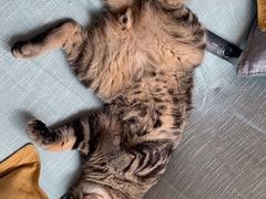 -十三式重庆江湖菜(金茂览秀城店)