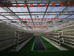 -兰陵国家农业公园