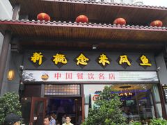 -新概念来凤鱼(璧山店)