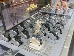 -飞亚达(东莞东城万达广场店)