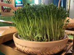 -粤小煲鲜汤猪肚鸡(丹尼斯二天地店)