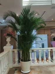 点击看大图 -禾丽康美医疗美容医院