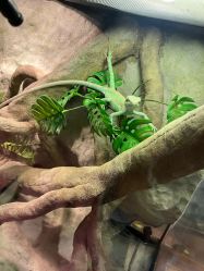 -酷嗒动物文化乐园(cutezoo西溪乐天城店)