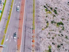 -龙美术馆西岸馆-停车场