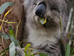 -威勒比开放式动物园