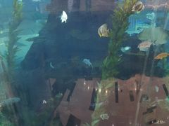 -鸿通城购物中心