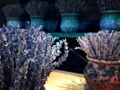 -L.C FLORA花予你(城西银泰城店)