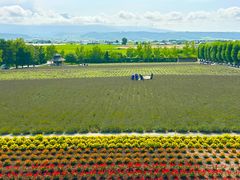 -富田农场