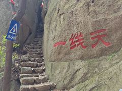 -六里坪国家森林公园