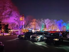 -枫花园汽车电影院(朝阳公园店)