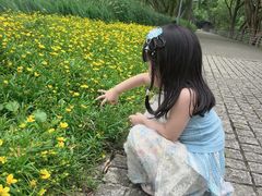 -西湖风景区-江洋畈生态公园