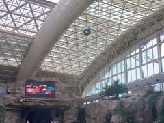 -杭州开元森泊度假乐园