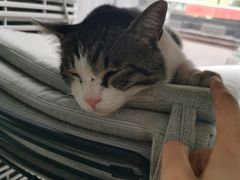 -UNI UNI(环亚凯瑟琳店)