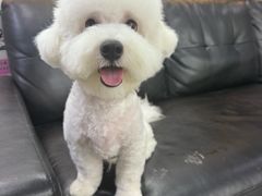 -久久宠物(河东万达店)