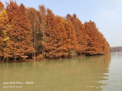 -上海海湾国家森林公园