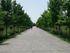 -汉景帝阳陵博物院