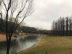 -东方绿舟宾馆·停车场